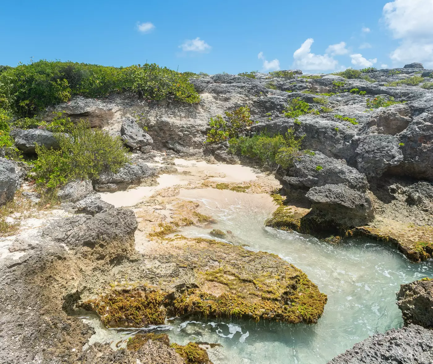 Côte rocheuse calcaire et eau turquoise à la Pointe des Châteaux, à Saint-François