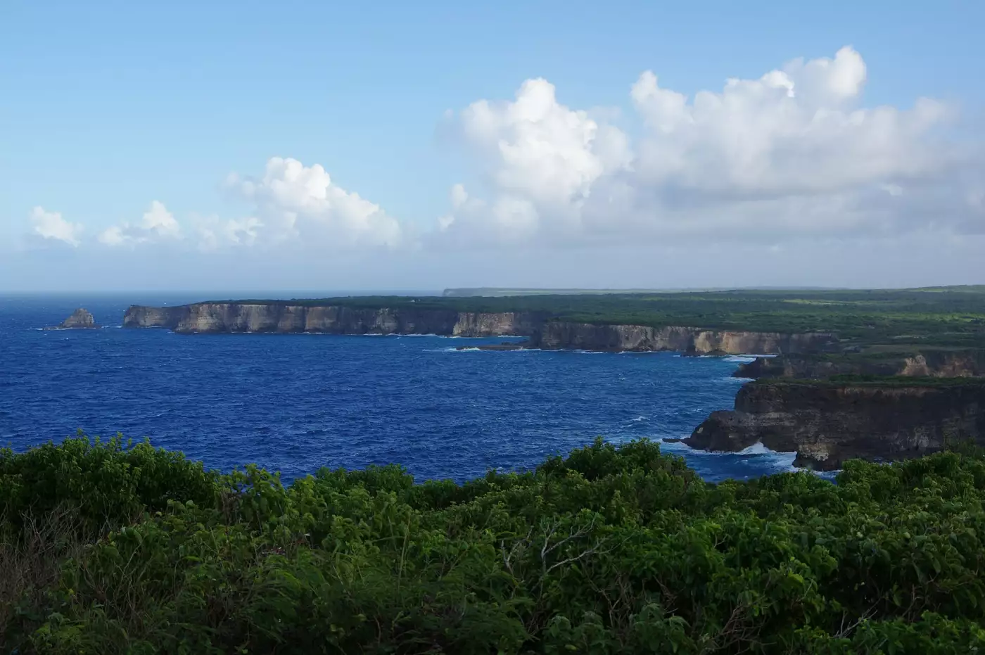 Falaises calcaires du nord de la Grande-Terre plongeant dans l'Atlantique, vues depuis la pointe de la Grande Vigie