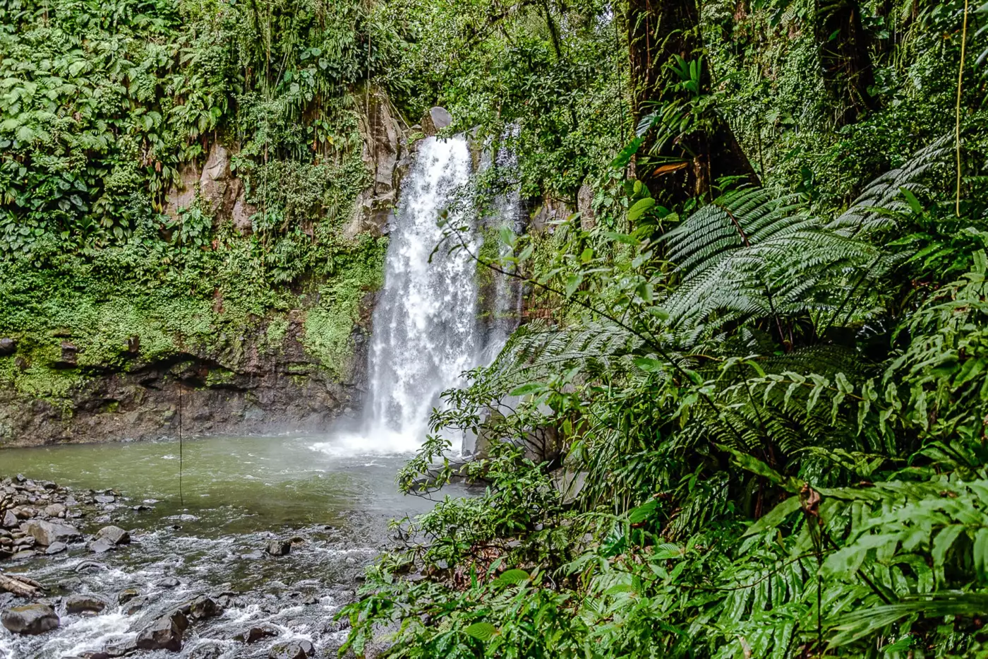 La troisième chute du Carbet tombant dans son bassin circulaire au fond de la vallée