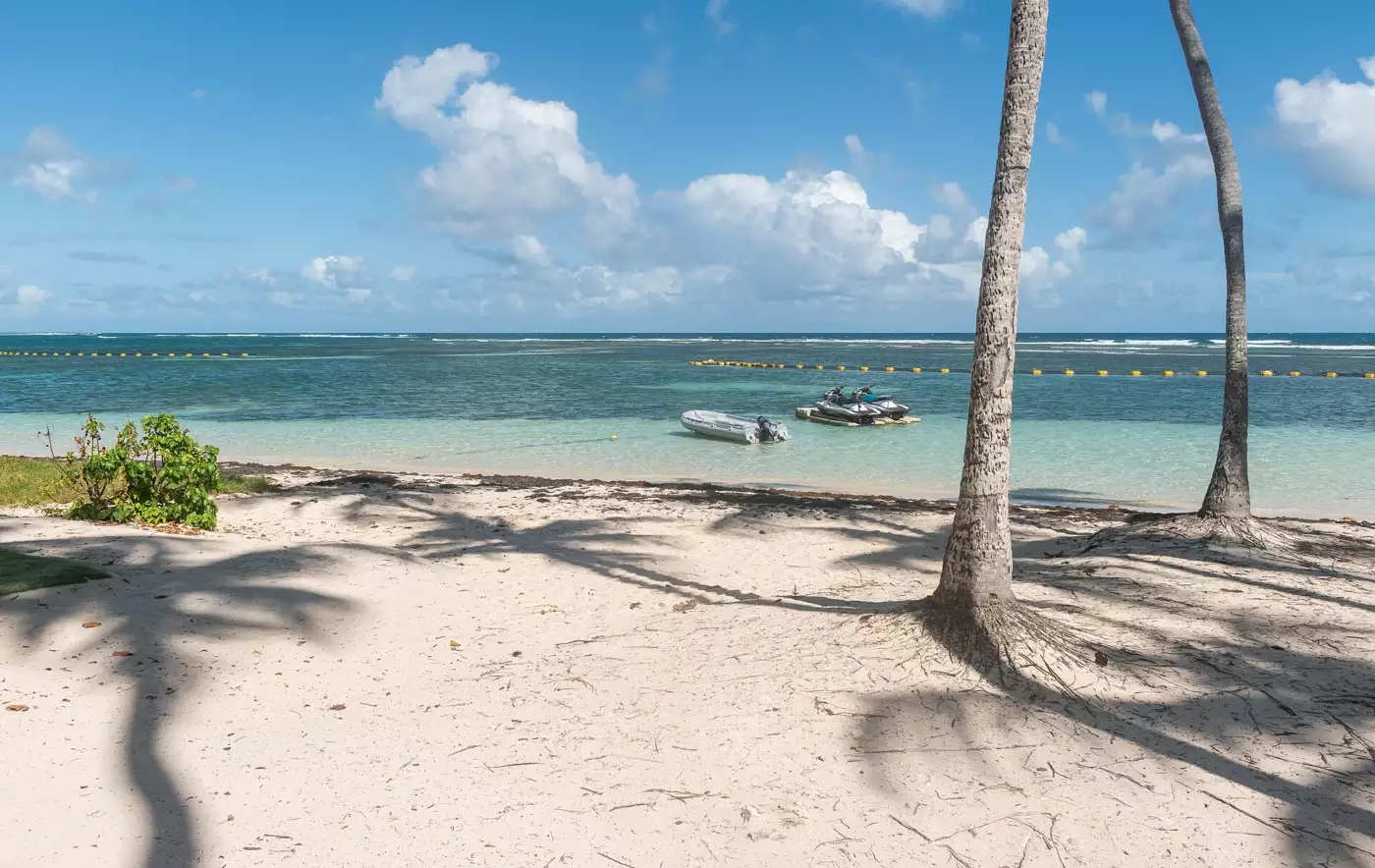 Sable clair, cocotiers et eau peu profonde de la plage de la Caravelle, à Sainte-Anne, en Grande-Terre