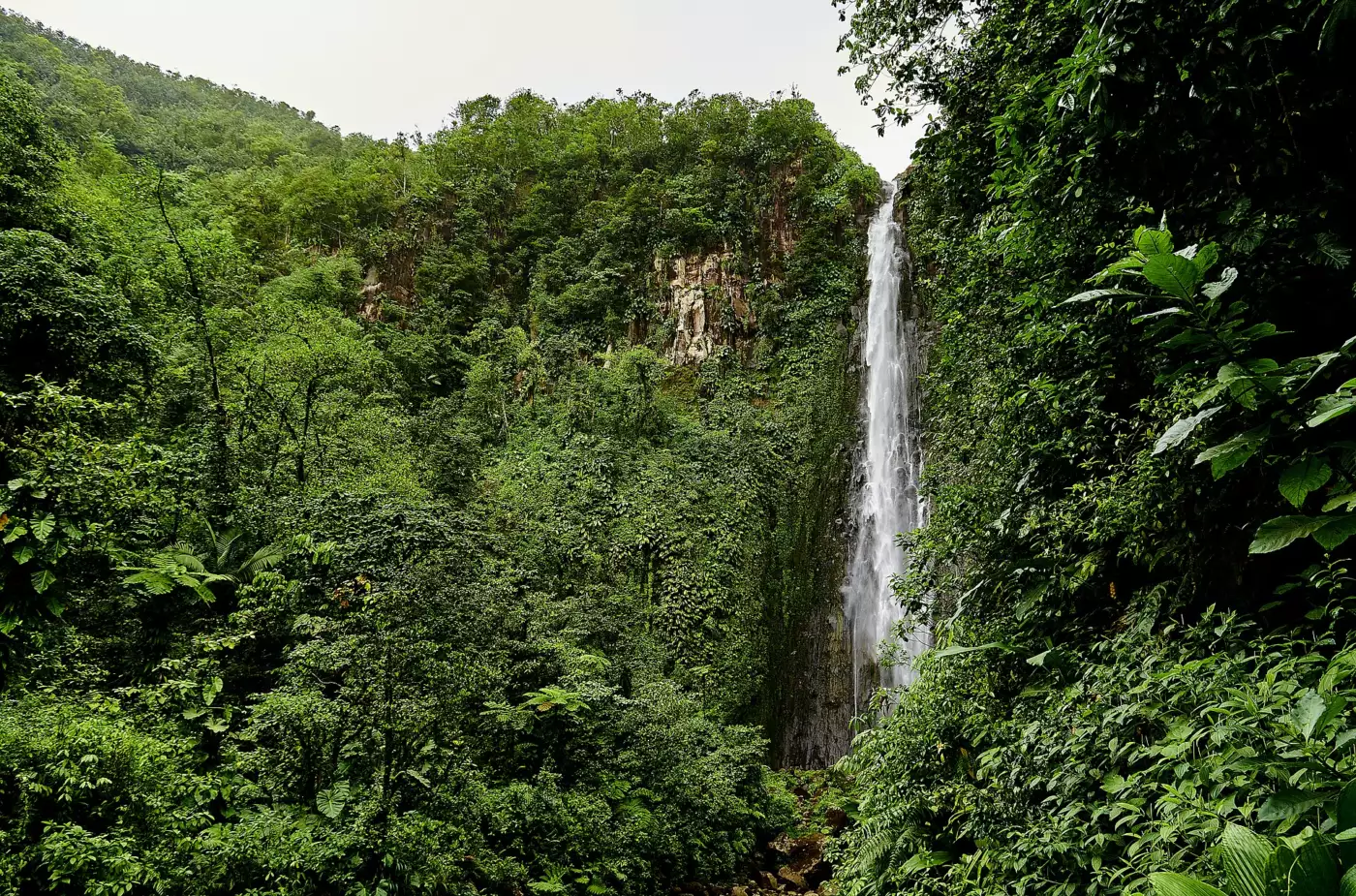 Chute d'eau tombant d'une haute falaise dans la forêt tropicale des chutes du Carbet