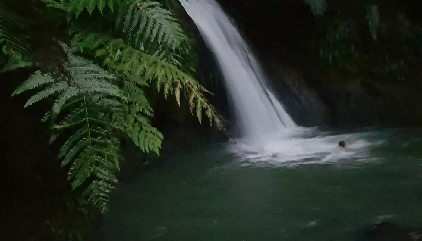 Chute d'eau tombant dans un bassin entouré de forêt, à la Cascade aux Écrevisses