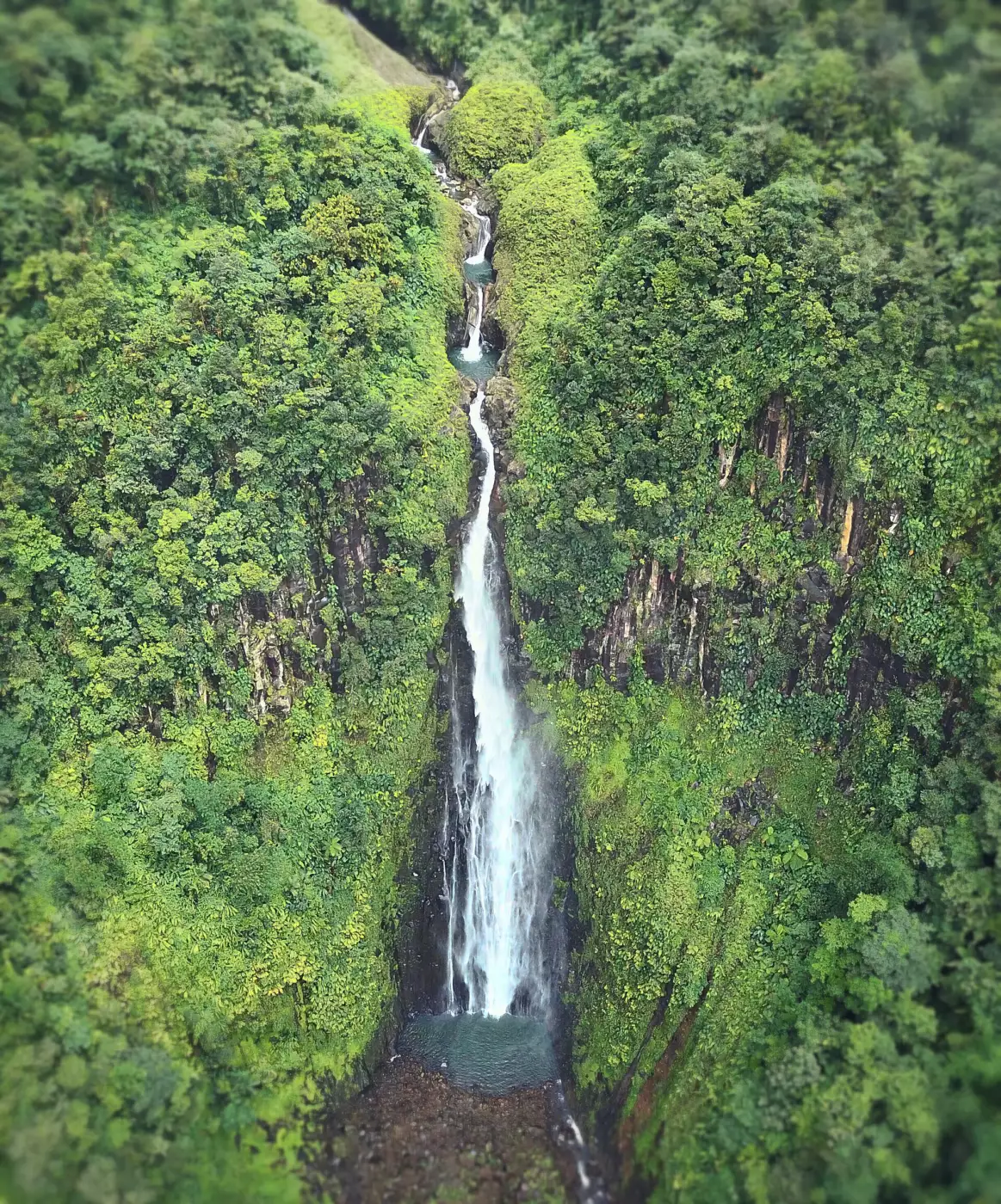 La deuxième chute du Carbet, longue coulée d'eau blanche sur une paroi sombre couverte de forêt