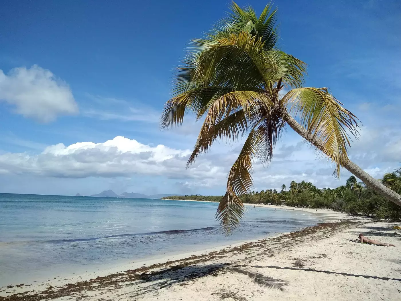 Sable clair, cocotiers penchés et eau calme à la Grande Anse des Salines, en Martinique