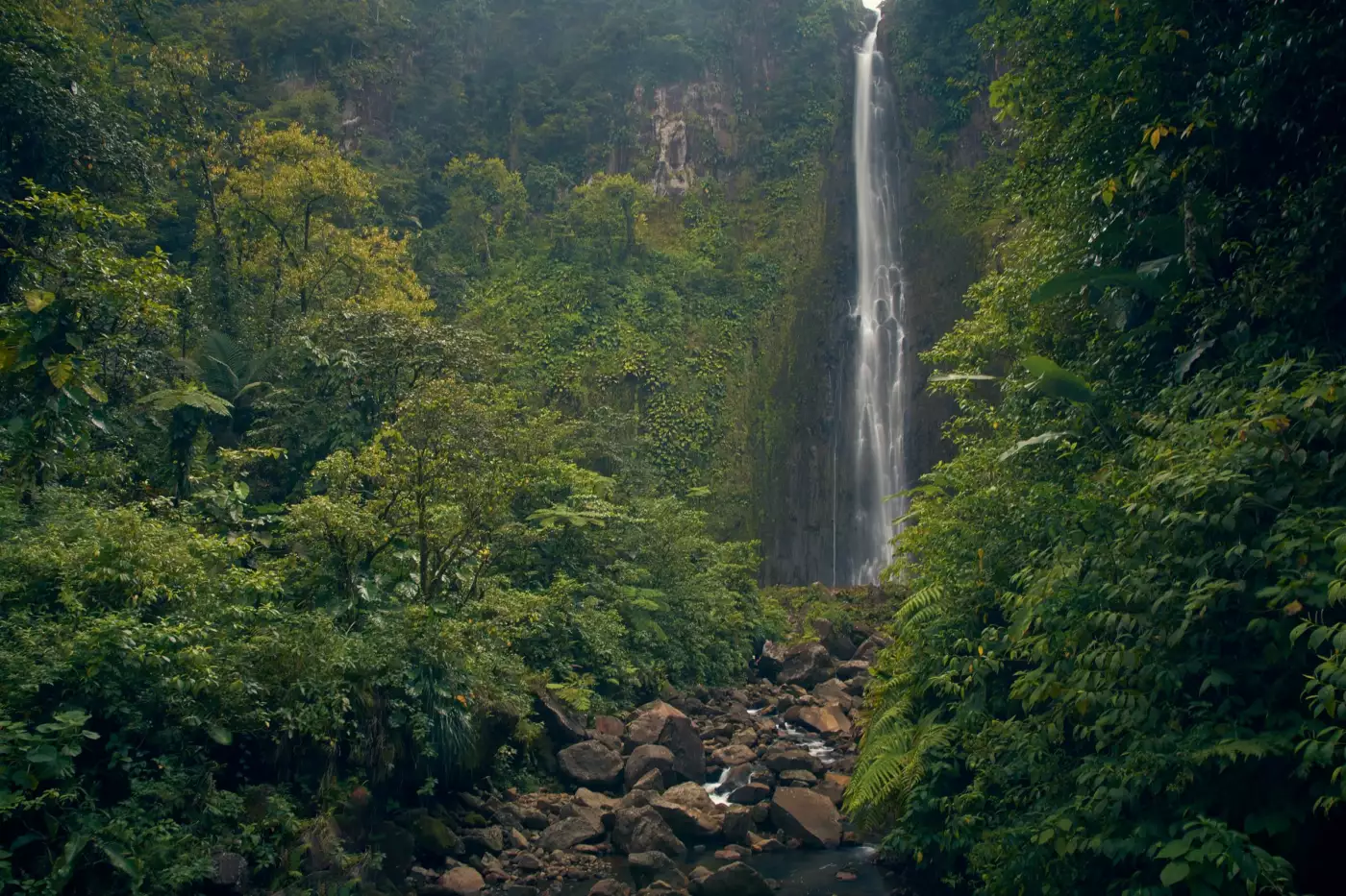 Cascade tombant dans la végétation dense d'une forêt tropicale