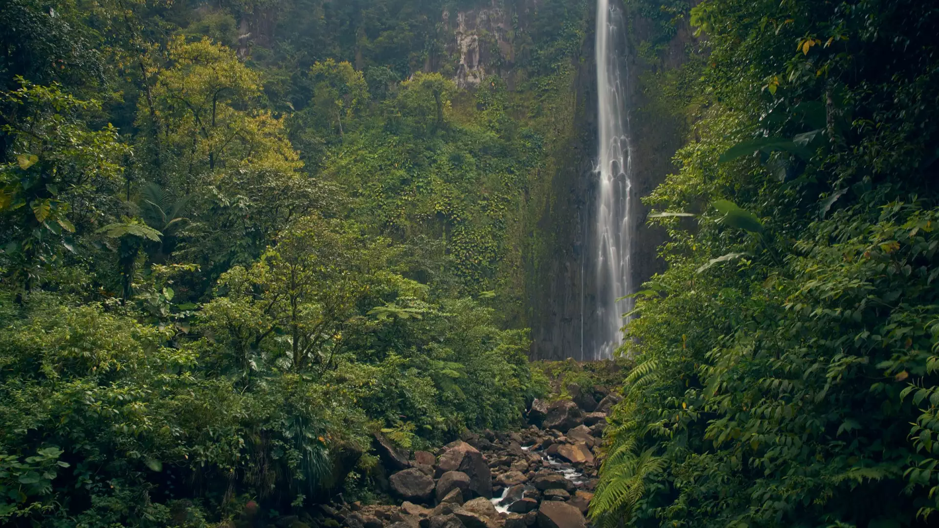 Cascade au cœur de la forêt tropicale