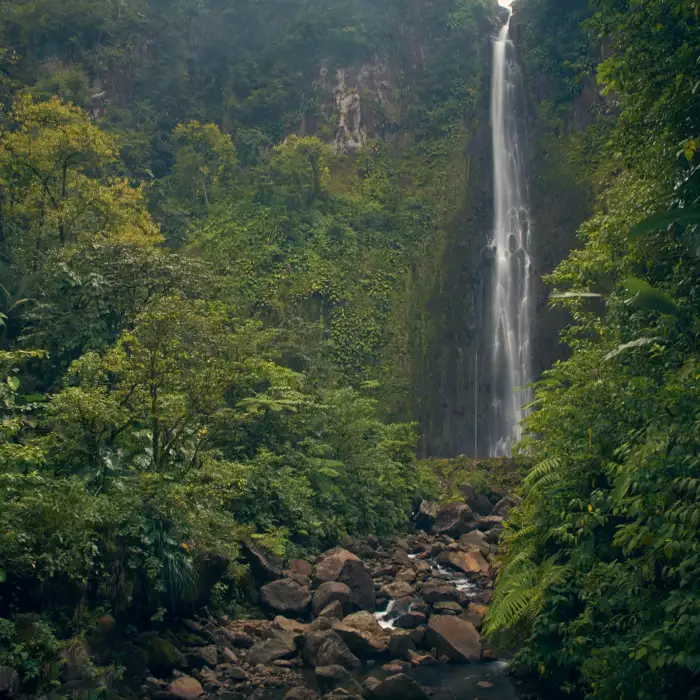 Cascade au cœur de la forêt tropicale