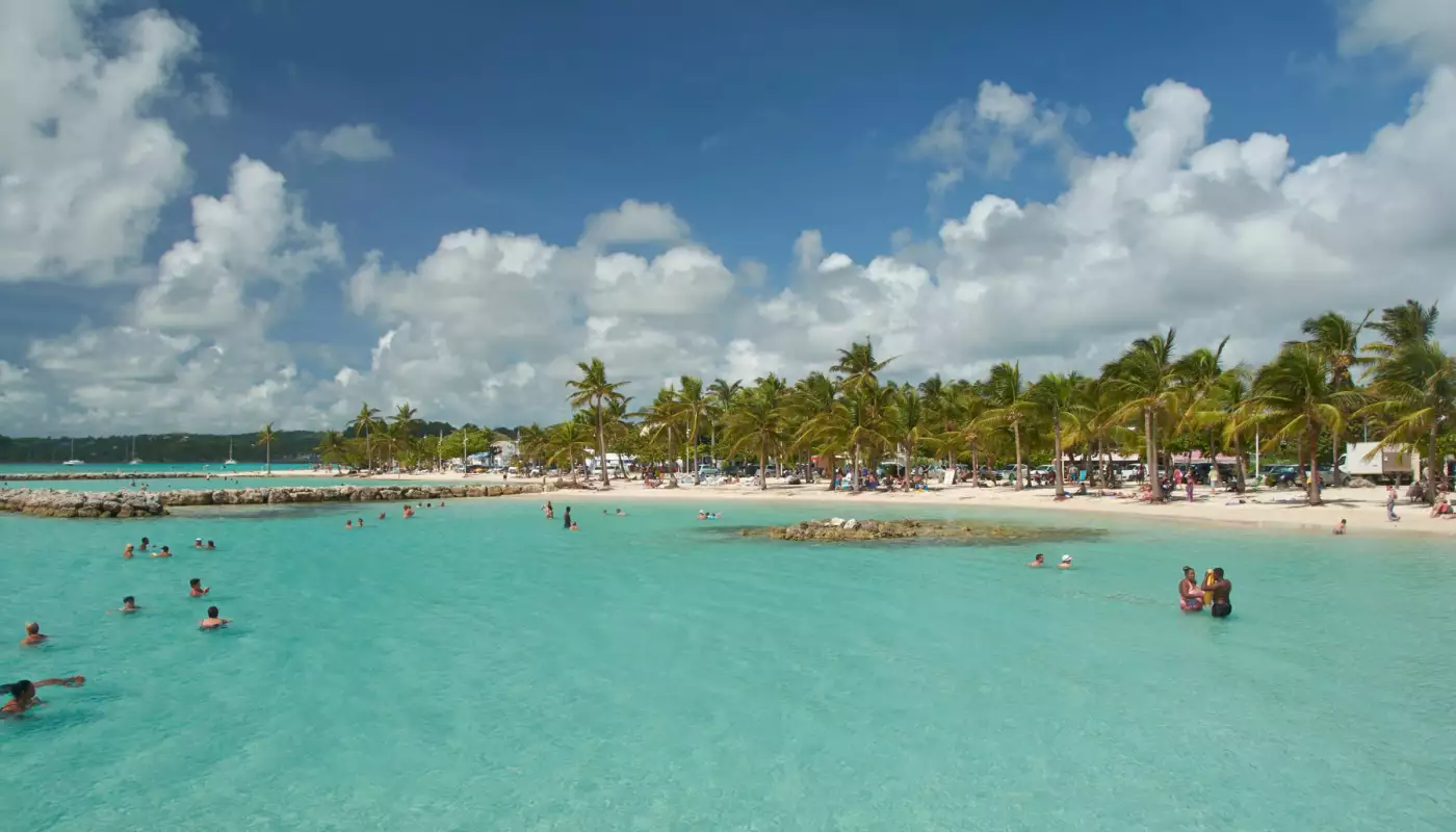 Plage de Sainte-Anne en Guadeloupe, cocotiers penchés sur le lagon turquoise