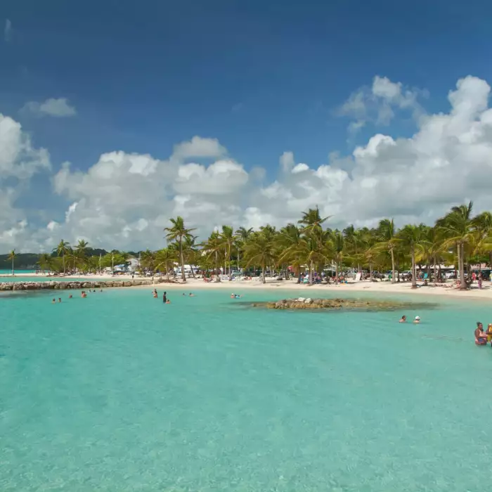 Plage de Sainte-Anne en Guadeloupe, cocotiers penchés sur le lagon turquoise