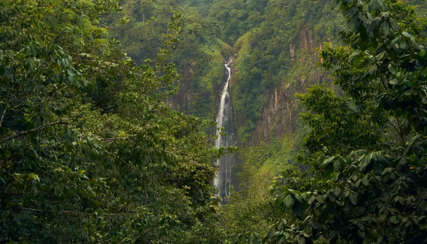 Cascade tombant dans la brume au milieu de la jungle, en Guadeloupe