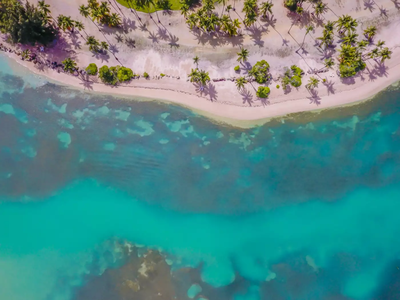 Vue aérienne d'une plage tropicale bordée de cocotiers et d'une eau turquoise peu profonde