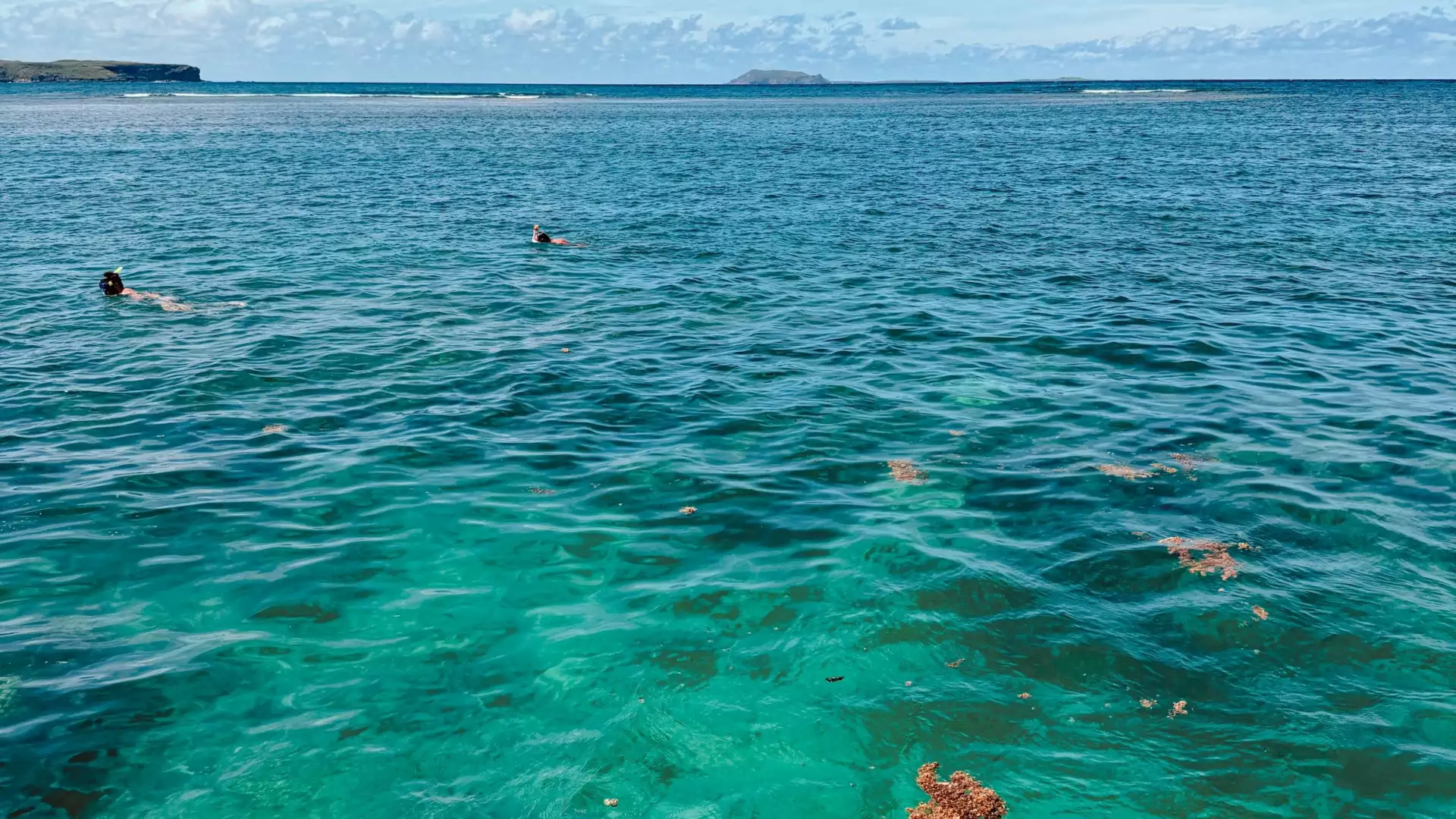 Nageurs au tuba au-dessus d'un récif corallien dans une eau turquoise