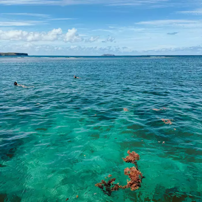 Nageurs au tuba au-dessus d'un récif corallien dans une eau turquoise